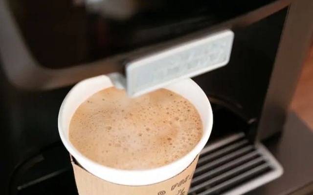 The Local - St. Augustine