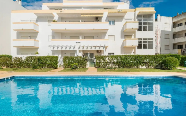 Akisol Olhos de Agua Treasure