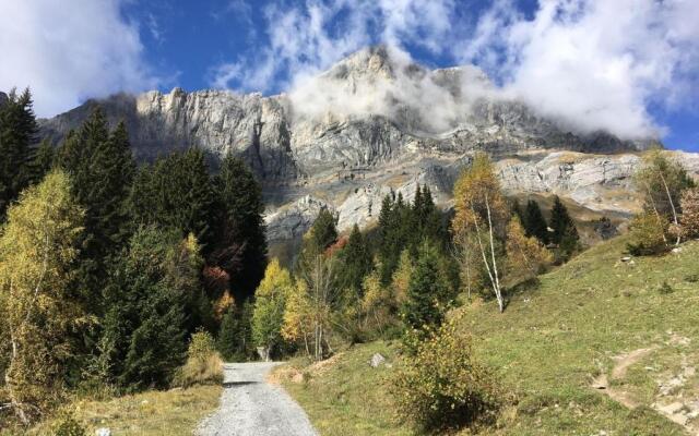 Fizhome Mt Blanc