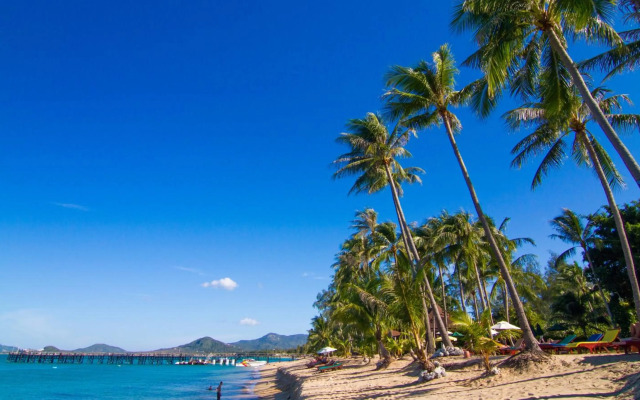 Coco Palm Beach Resort
