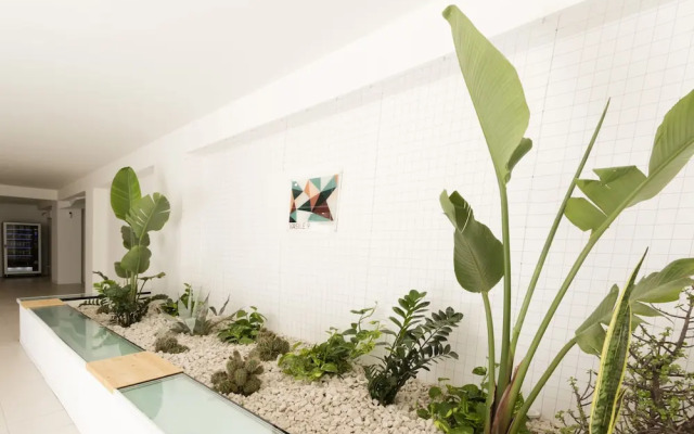 Visitsicilia Vasile 9 - 3