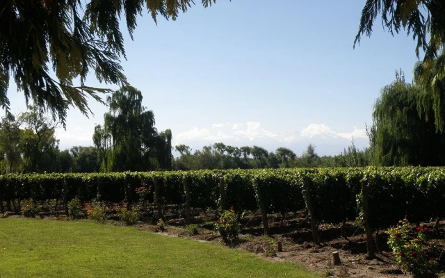 Postales by DOT Boutique