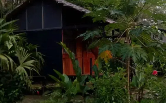 Rio Mar Bahía Solano Choco Colombia