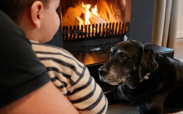 Detached Villa with Outdoor Fireplace near Veluwe