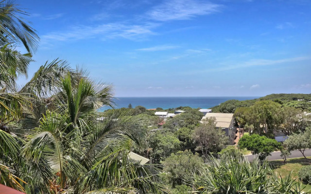 Cylinder Palms