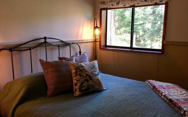 Mountain Pine Cabin - Sleeps 6 - Pet Friendly