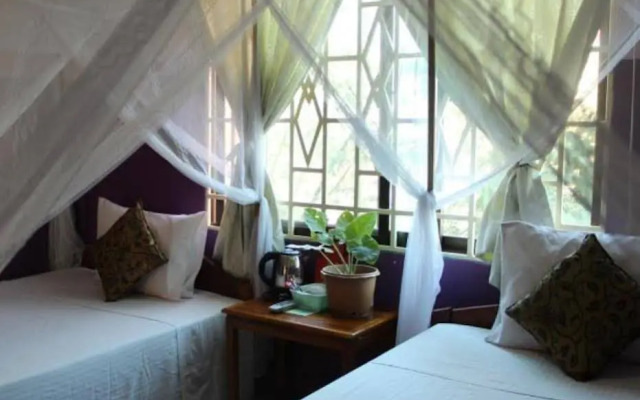 Moonlight Kiss Hostel