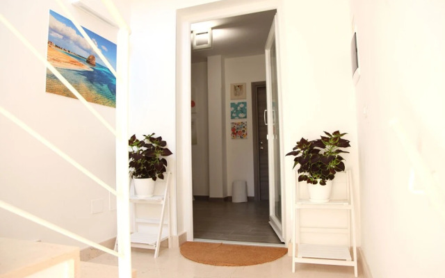Organic Tribe Salento B&B