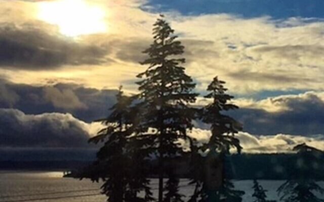 Camano Vista Paradise