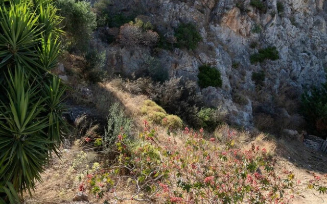 SeaView Flat Near the Beach