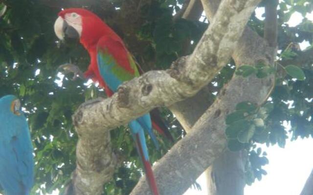 La Pagerie in Carriacou