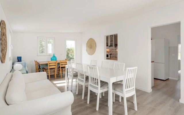 Pinhal da Praia em Melides