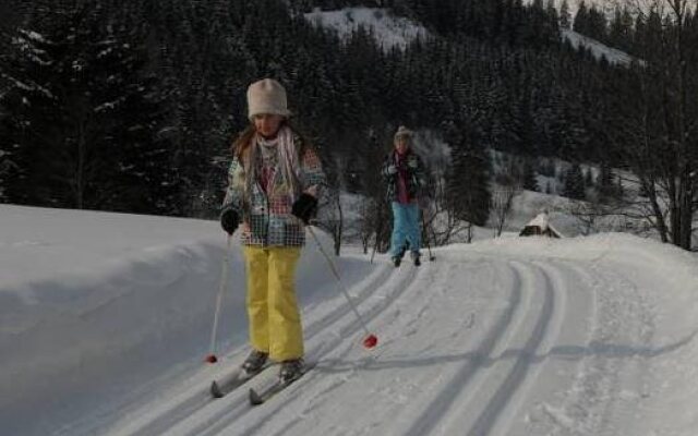 Gasthof Pension Appartements Zur Gams