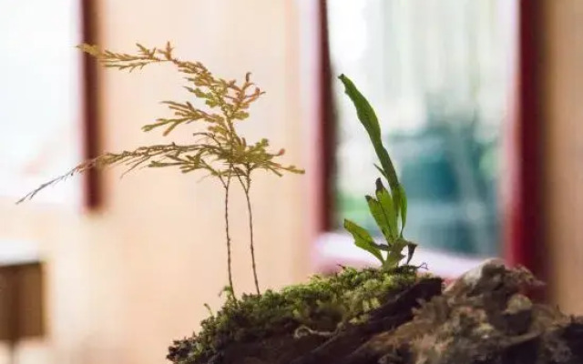 Yunhe Shuian Country Hostel