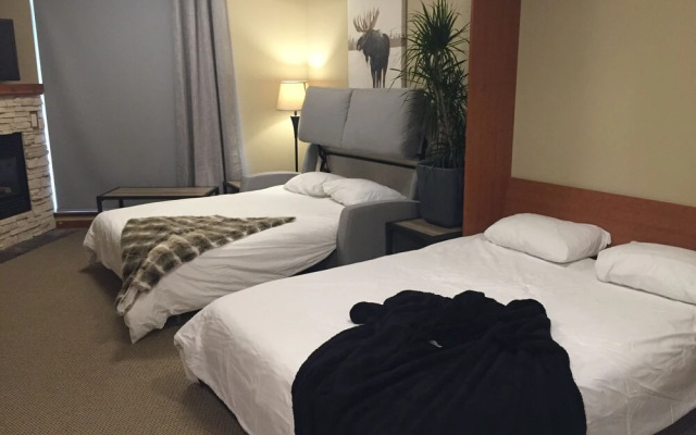 Beautiful Spacious Mountain Studios