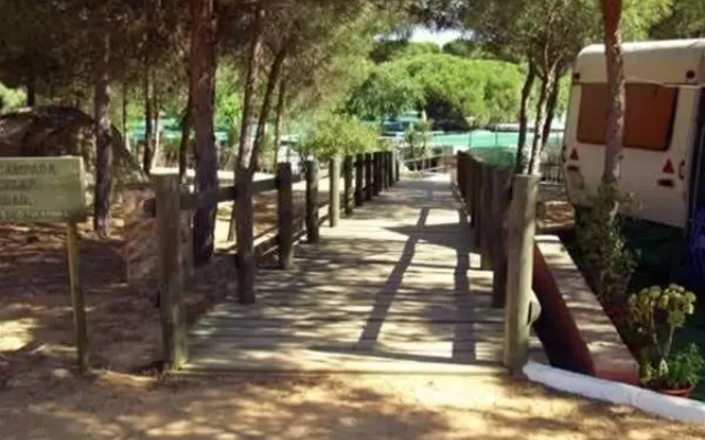 Camping Playa La Bota