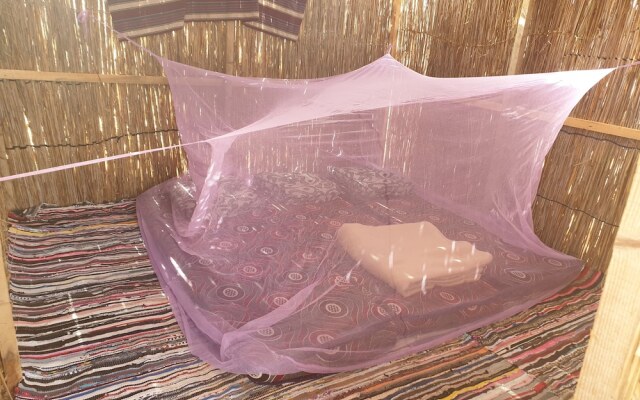 Starlight Camp Nuweiba