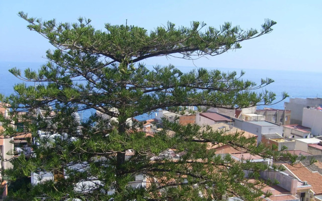 Hotel delle Palme