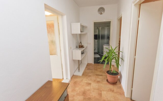 Apartments Drlja