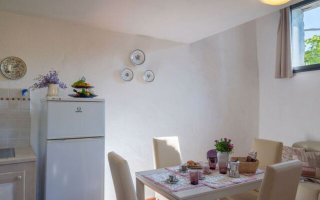 Maria Luisa (DOL286)