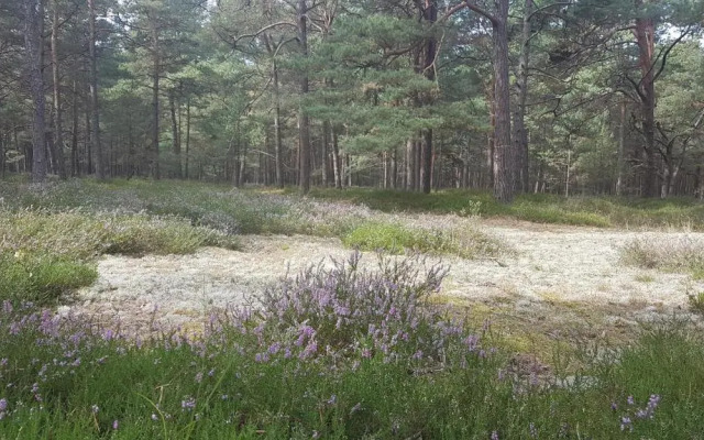 Blue Marine Apartament 19 z tarasem