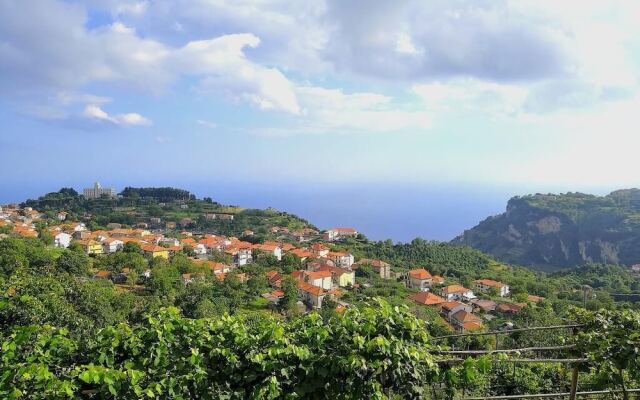 Agriturismo Il Castagno