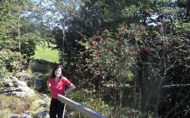 Ferienhaus Mitterdorf