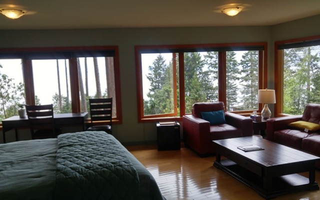 Sunshine Coast Treetop Wonderland