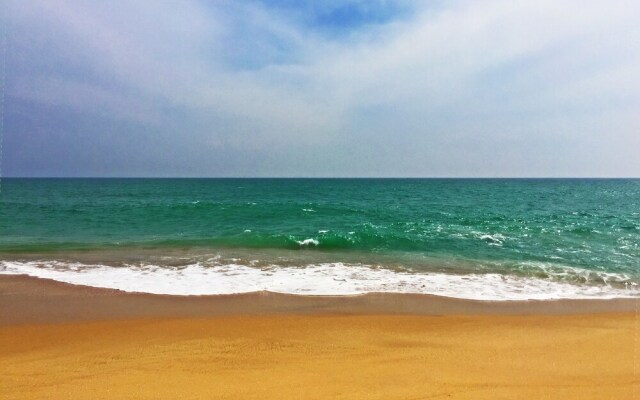 Southern Edge