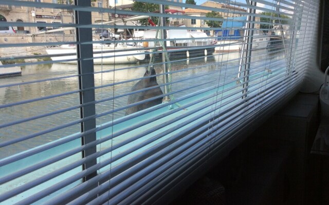 Penichette Oiseau Bleu