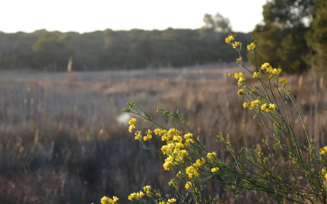 Hotel Residencia Patilla II