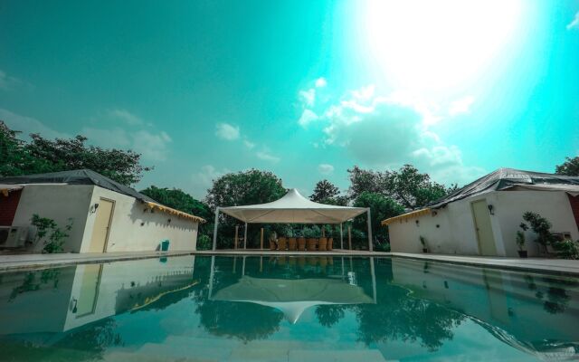 Aranya by Stories