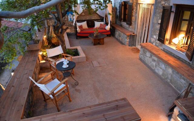 The fig tree house