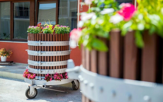 Vino e Turismo