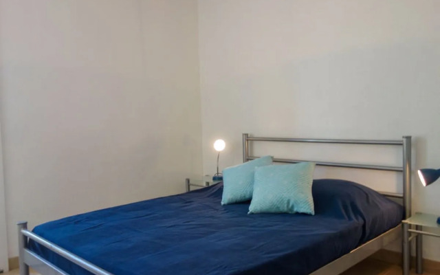 Les Rosiers Grimpants