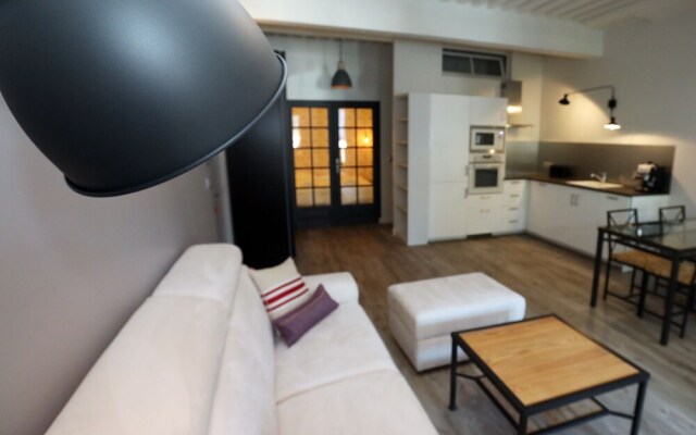 Annecy downtown 55 m2 Apart with big terrace