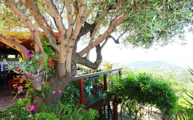 Il Poggio Del Cardinale
