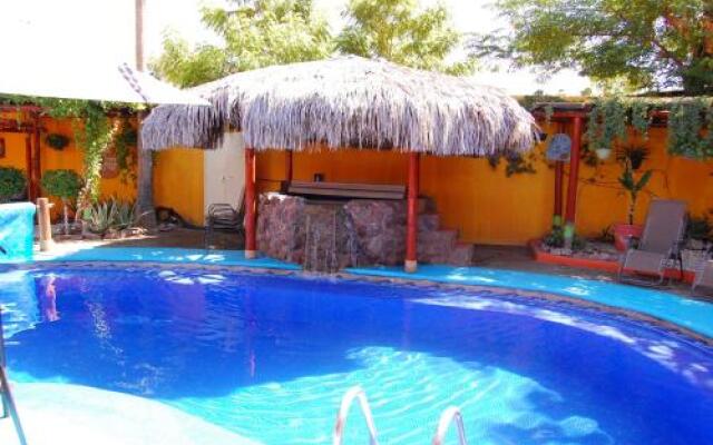 Leo's Baja Oasis