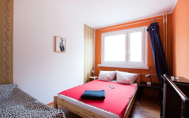 city ALEX & top view