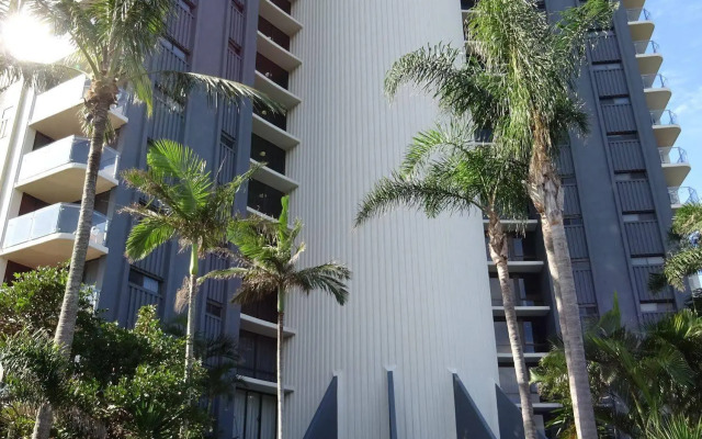 Princess Palm on the Beach