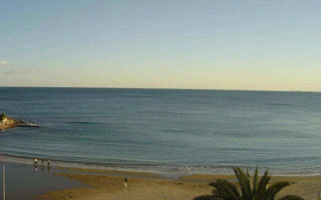 Palmeral de Torrevieja