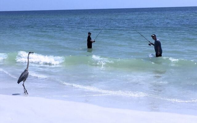 The Anna Maria Island Beach Castaway 1