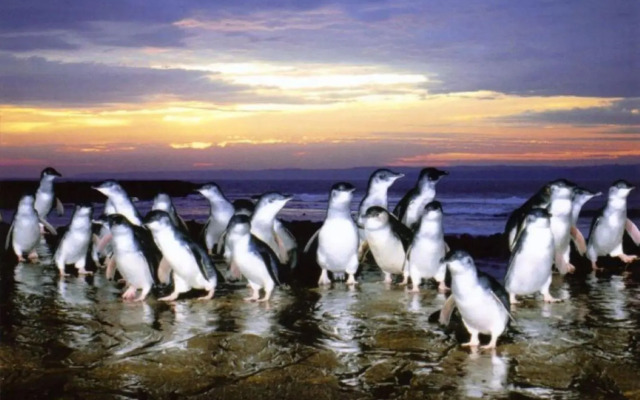 Saltwater Breeze Retreat