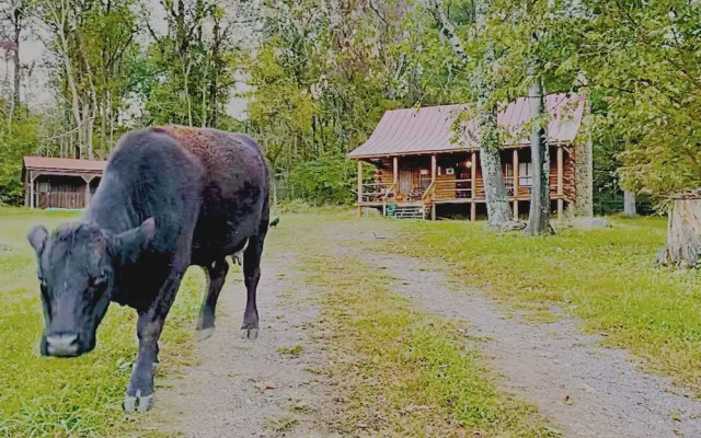 Graves Mountain Farm & Lodges