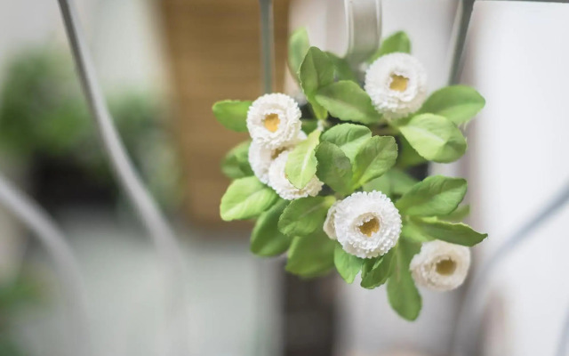 Rare Find Near Acropolis!