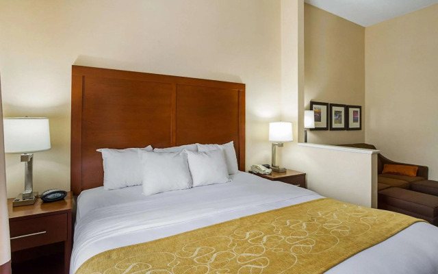 Sleep Inn & Suites Columbus - State University Area