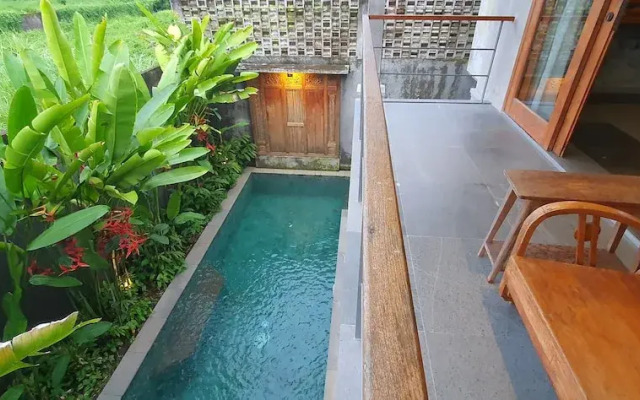 Ubud Diary