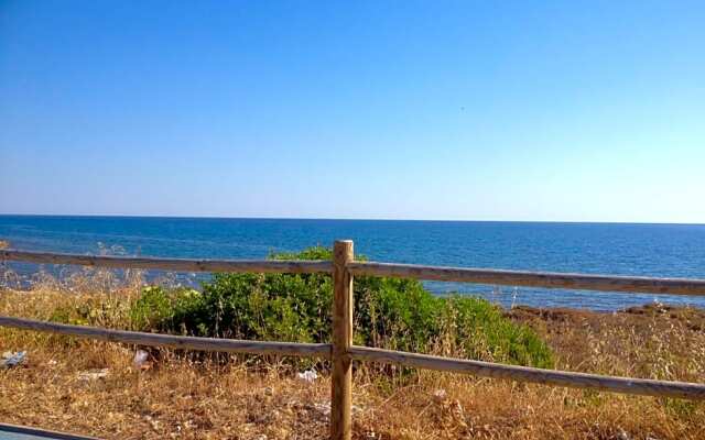 Salenterra B&B (Salento)