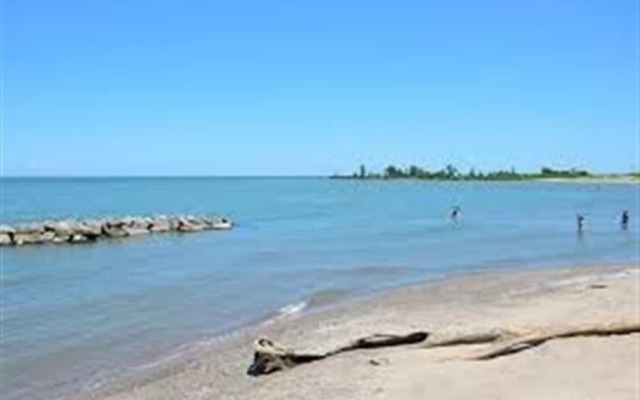 The Birdhouse Bed & Breakfast