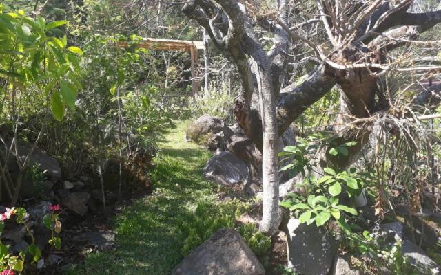 Hotel y Bungalows ecologicos Marcelo